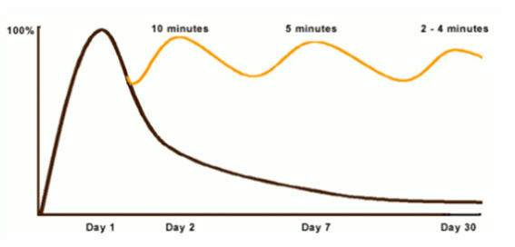 Curve of Forgetting