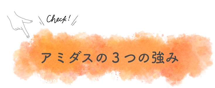 アミダス3つの強み