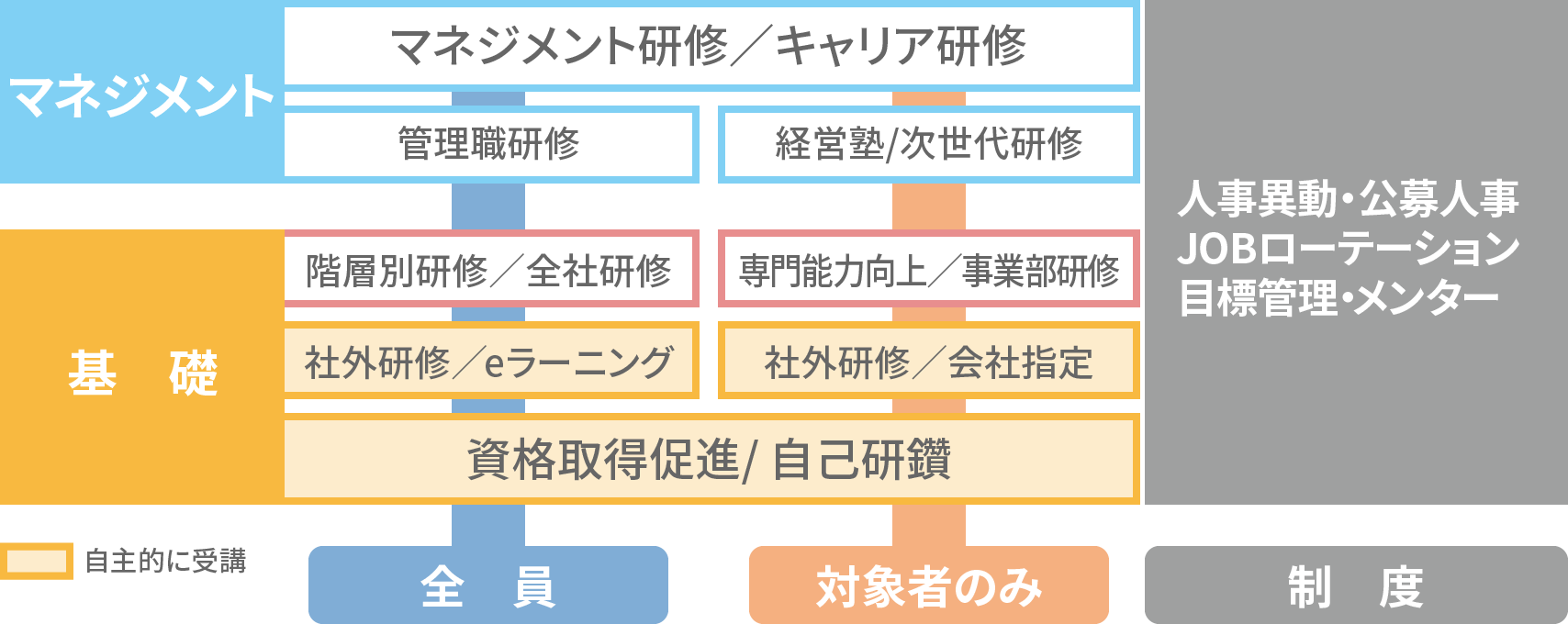 ⼈材育成フレーム